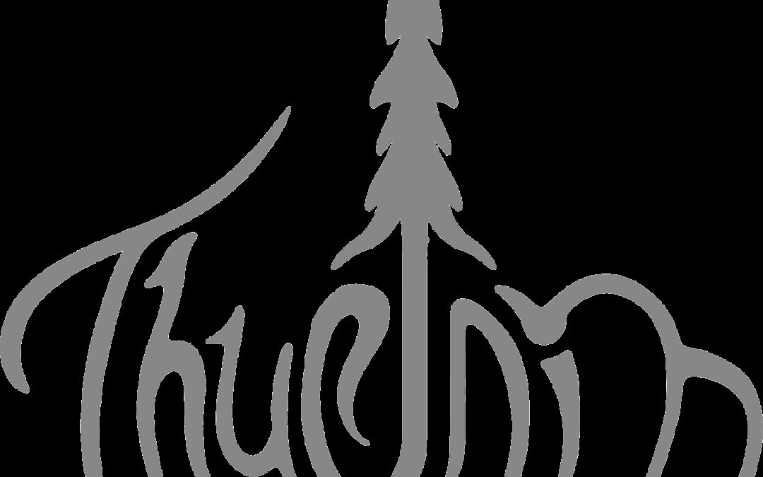 THURNIN release & stream new album “Harmr”, today!